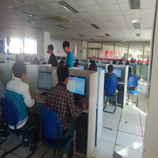 青岛职业技术学院软件与服务外包学院 软件销售专业人才培养的实践与探索