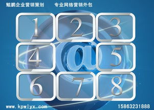 临沂互联网营销与软件销售推荐公司指南