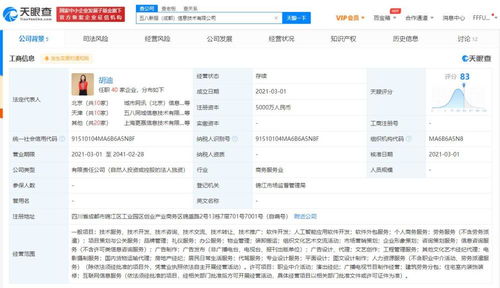 软件销售 数字时代的技术市场策略