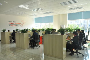 喜讯！章贡区软件产业孵化园荣膺江西省服务外包示范园区称号，软件销售业务迎来新机遇